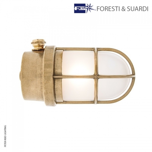 Ceiling / Wall Light With Guard 2296 by Foresti & Suardi