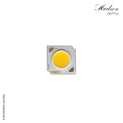Hudson High Power Spike Light Replacement 12 Watt LED