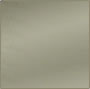 Polished Nickel Polished Nickel